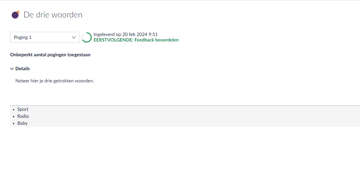 white webpage with text on it